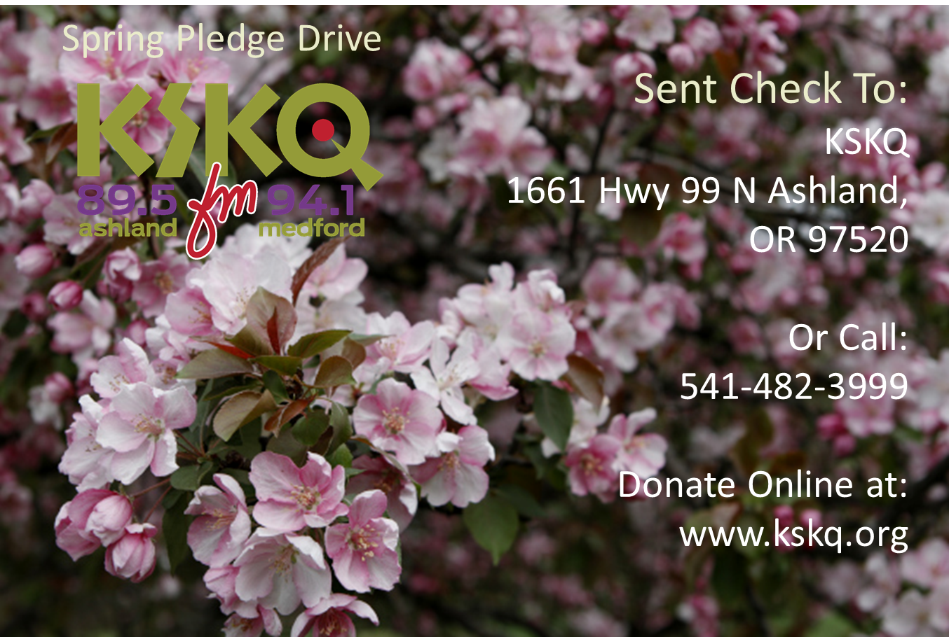 Spring Pledge Drive